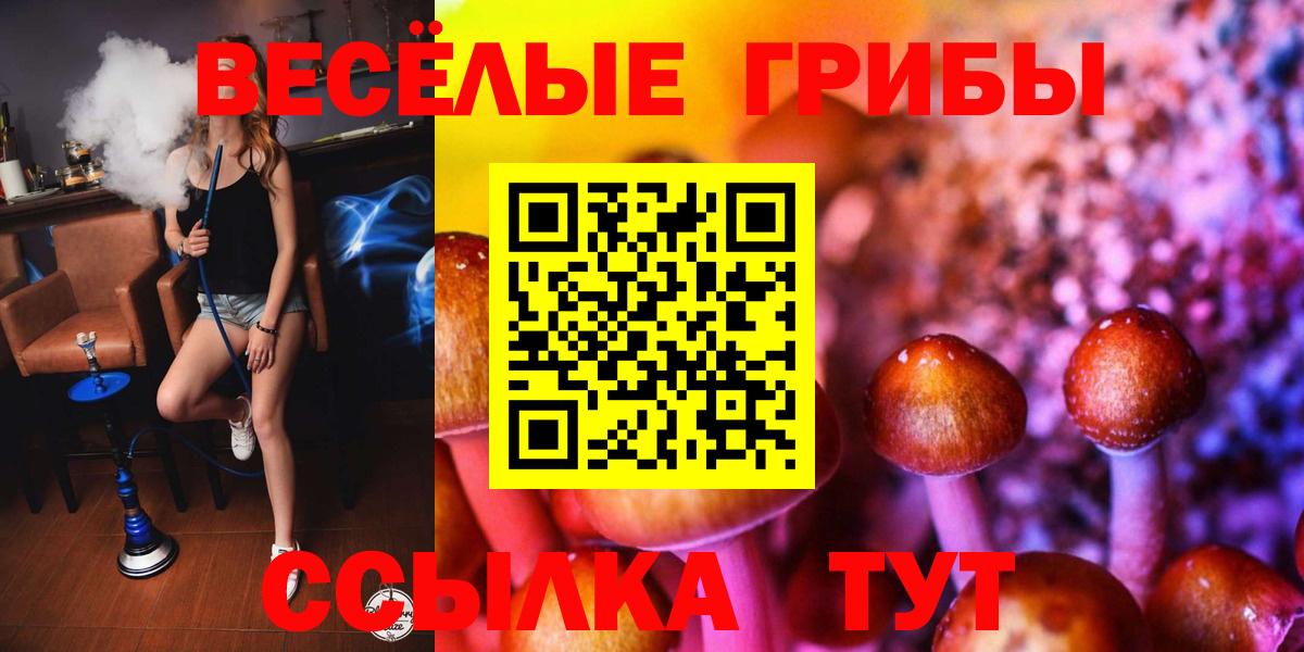 Кызыл  Галлюциногенные грибы Cubensis  Вход с VPN 